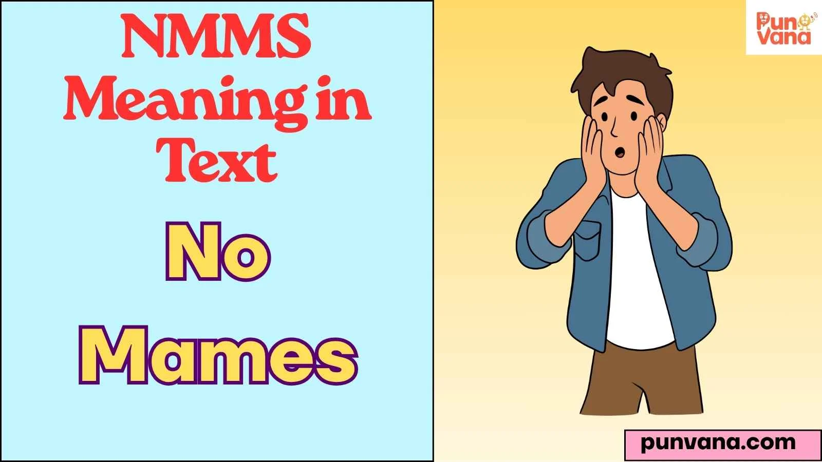 NMMS Meaning in Text