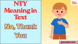 NTY Meaning in Text