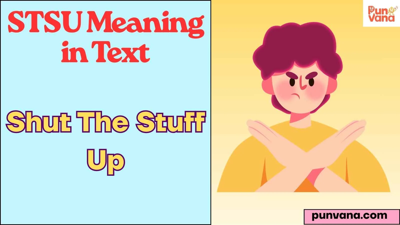 STSU Meaning in Text