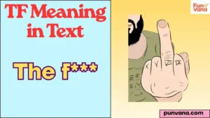 TF Meaning in Text