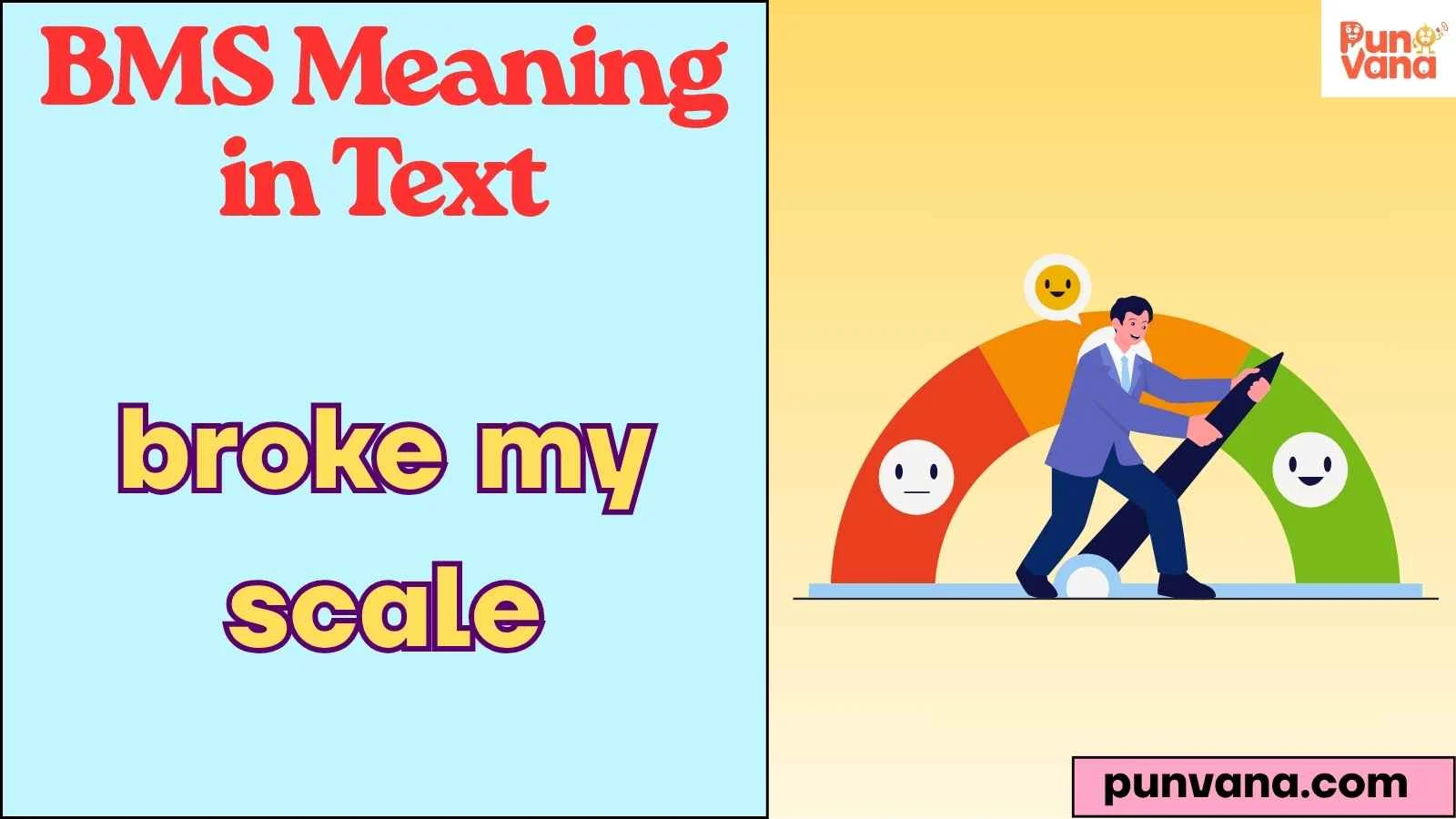 BMS Meaning in Text