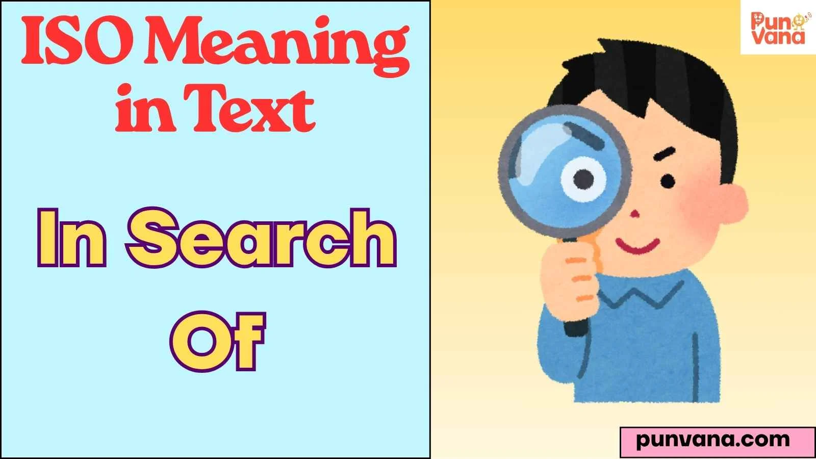 ISO Meaning in Text