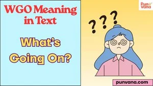 WGO Meaning in Text